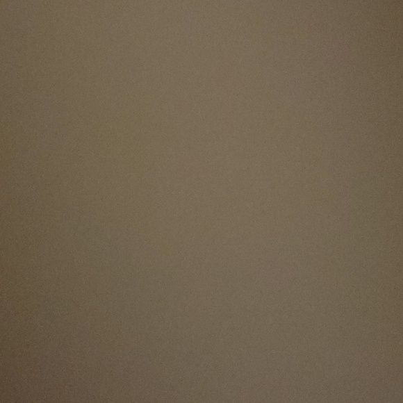 Meet your Posher, Behnazir - Picture 1 of 1